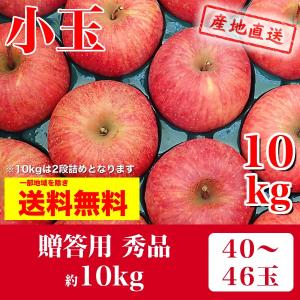 福島のりんご　サンふじ　小玉　 贈答用 秀品 10kg キャップ詰め40玉〜46玉入り　12月上旬頃発送予定 【送料無料】