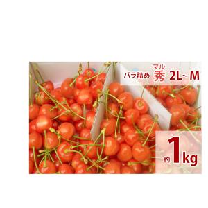 福島のさくらんぼ　最高級品種（佐藤錦・紅秀峰）　家庭用　バラ詰め　マル秀　2L〜M　1k　送料無料