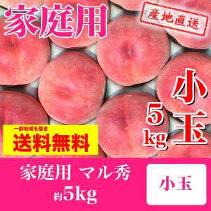 福島の桃 家庭用小玉 晩生種（一宮水蜜・紅錦香・川中島白桃・ゆうぞら・白麗等）8月下旬または9月上旬お届け マル秀 5kg（18〜25玉入り）送料無料