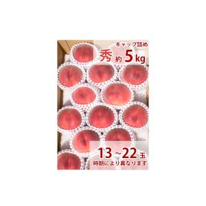 福島の桃 贈答用　極晩生種（彼岸白桃・さくら白桃）9月上旬〜下旬お届け 秀品　5kg 13〜18玉入り　送料無料　