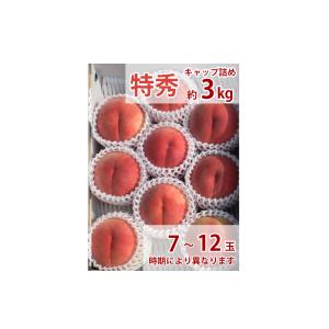 福島の桃 贈答用　極晩生種（彼岸白桃・さくら白桃）9月上旬〜下旬お届け 特秀品　3kg 7〜10玉入り　送料無料　