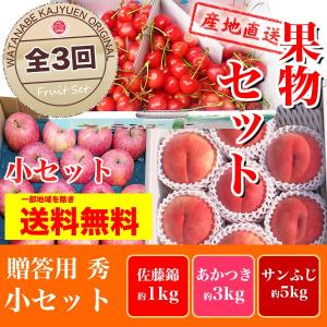 福島の果物セット 小 全3 回 【さくらんぼ・佐藤錦　桃・あかつき　りんご・サンふじ】 秀品 送料無料