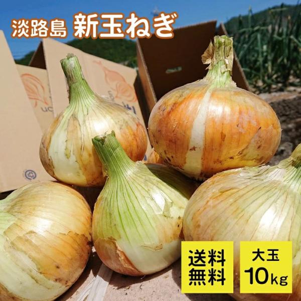 兵庫県推奨ブランド　最高級品　淡路島特産　新たまねぎ（早生）10ｋｇ『一年間でこの時期だけ収穫出来る...