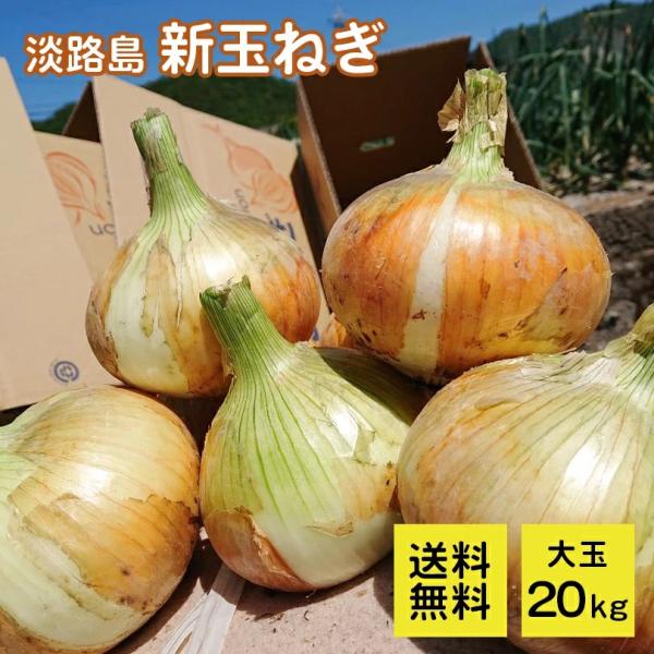 兵庫県推奨ブランド　最高級品！淡路島特産　新たまねぎ（早生）20ｋｇ『一年間でこの時期だけ収穫出来る...