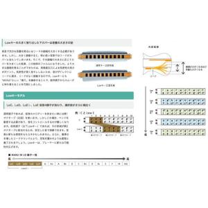 SUZUKI(スズキ) Low-C MANJI...の詳細画像1