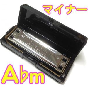 TOMBO（トンボ） 1710 マイナーボーイ Bm 10穴 ブルースハーモニカ