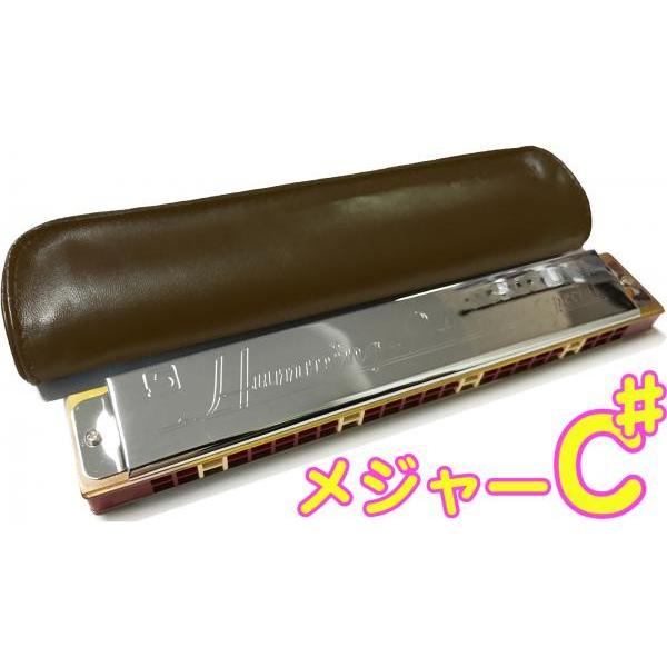 SUZUKI(スズキ) Humming-24 C♯ 24穴 複音ハーモニカ 高級スズキ ハミング 樹...