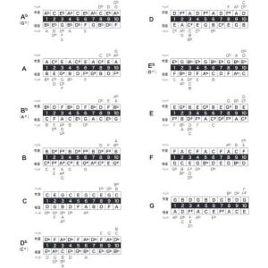 TOMBO 1210 A♭ フォークブルース ...の詳細画像2