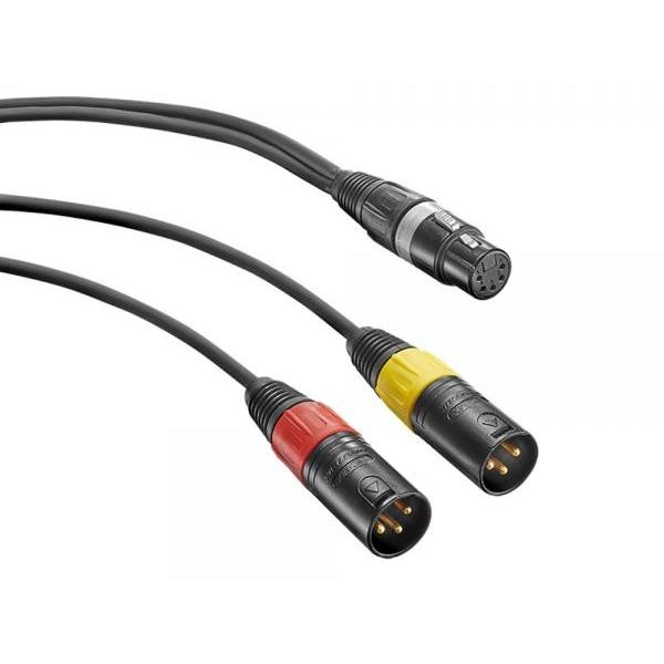 NEUMANN(ノイマン) AC20 ◆ XLR5F-XLR3M×2、Y字ケーブル、1メートル