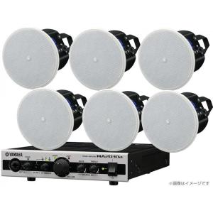 Old Blood Noise Endeavors Flat Light フランジャー