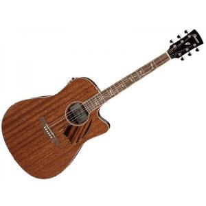 Ibanez アイバニーズ パフォーマンス シリーズ エレアコ グランド