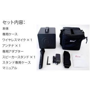 Belcat BWPA-30W(チャンネル可変...の詳細画像1