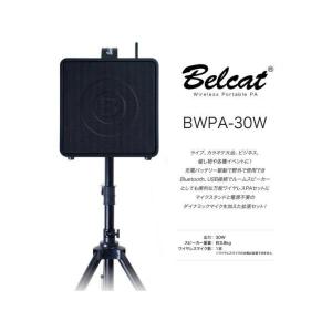 Belcat BWPA-30W(チャンネル可変...の詳細画像2