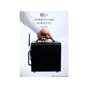 Belcat BWPA-30W(チャンネル可変...の詳細画像3