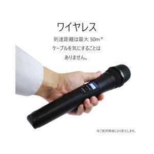 Belcat BWPA-30W(チャンネル可変...の詳細画像4