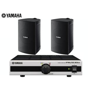 YAMAHA（ヤマハ） YAMAHA DXR15mkII 15