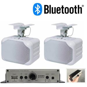 ダイトーボイス 天吊りスピーカー DVT-WD1 シングルスピーカー壁掛け