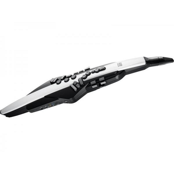 Roland(ローランド) Aerophone ウィンドシンセサイザー エアロフォン デジタル管楽器...