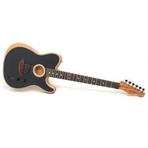 Epiphone Epiphone(エピフォン) WILDKAT 専用 ハードケース