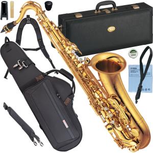 YAMAHA（ヤマハ） SAF SA用ハードケース セミアコ : ワタナベ楽器