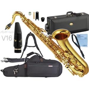 Kaerntner(ケルントナー) テナーサックス セット KTN 入門セット