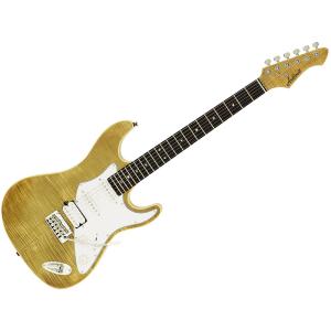 ARIA（楽器） 【数量限定カラー!!】 Aria Pro II 714-AE200
