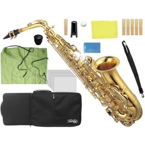 アルトサックス 初心者入門セット/ゴールド(送料込み) アルトサックス 初心者セット 入門セット サックス gold 初心者 SAX