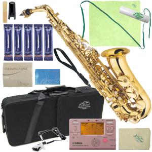 J.Michael AL-500 入門9点セット アルトサックス 初心者 入門 格安