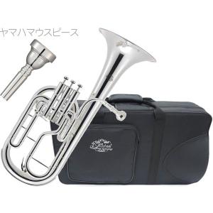 トロンボーンマウスピース Thein（タイン）BMシリーズ 太管用 SP