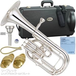 J.Michael/アルトホルン AH-600〈Jマイケル〉 : 楽器de元気