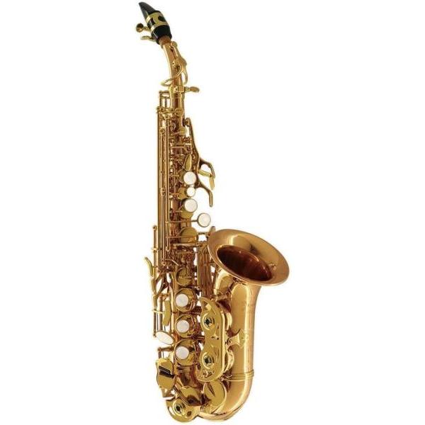 Chateau(シャトー) CSS-CH92L カーブドソプラノサックス ラッカー レッドブラス 管...