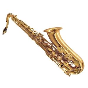 限定品] Selmer アルトサックス マウスピース セルマー コンセプト