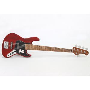 NeotenicSound ベース用プリアンプシステム DynaForce : 楽器のこと