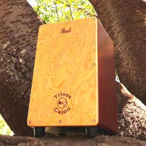 Pearl カホン パール楽器 Pearl PCJ-CVC/SC SB COLOR BOX CAJON ソフト