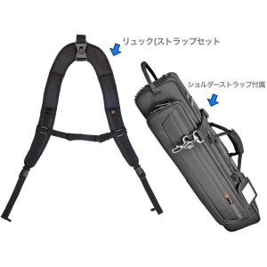 bags(バッグス) EF2SAS M-BLK ダブルケース アルトサックス ソプラノ