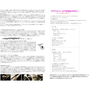 Pearl Flute PF-525RBE H...の詳細画像1