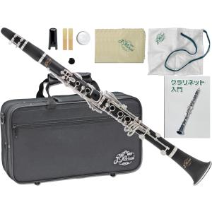 NUVO クラリネットClarineo クラリネオ N120CLBKヌーボ 518ZDOskkeL._UF350,350_QL80_.jpg