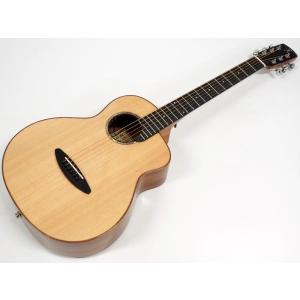 Epiphone（エピフォン） WILDKAT 専用 ハードケース【 エピフォン純正