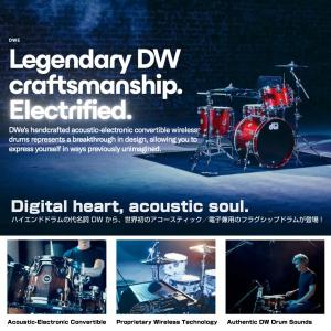 DW(ディーダブル) DWe 5-Piece ...の詳細画像3