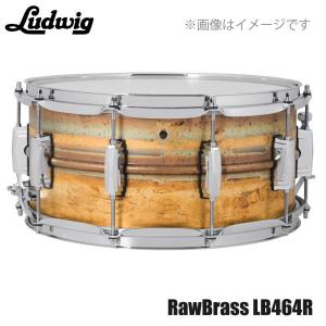 Pearl Pearl(パール) Carbonply Maple カーボンプライメイプル