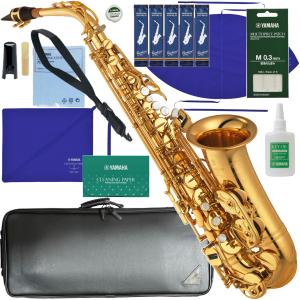 セルマー アルトサックス ネック SA80II Jubilee GP 金メッキ W/O 彫刻