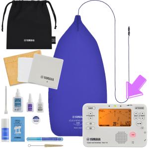 KORG WDT-1 WALL DISPLAY TUNER 壁掛けチューナー : paprica music
