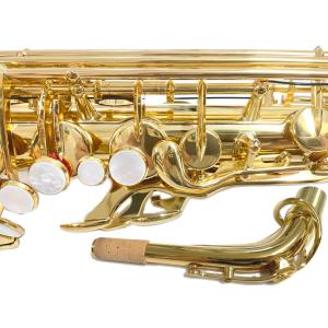 YAMAHA(ヤマハ) 5年保証サポート対象 ...の詳細画像2