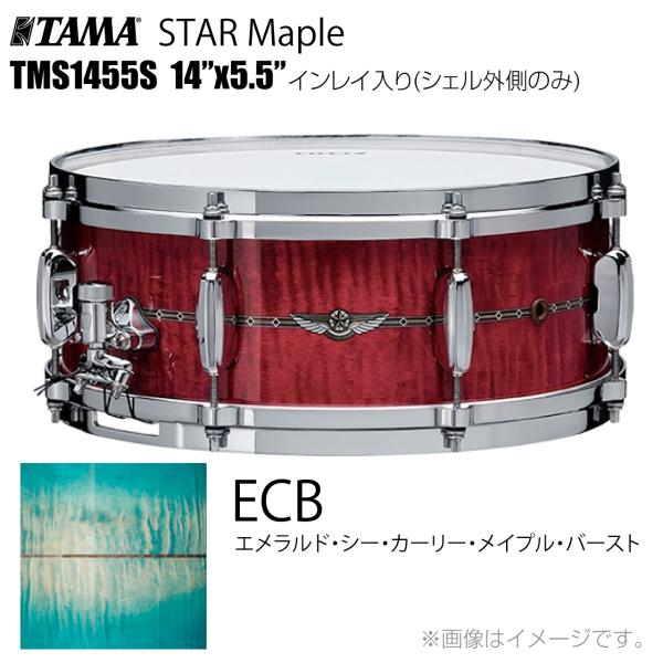 TAMA(タマ) STAR Maple TMS1455S ECB インレイ入り（シェル外側のみ） ド...