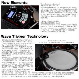Pearl e/MERGE PRO w/Add...の詳細画像3