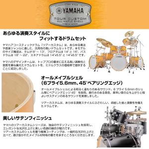 YAMAHA(ヤマハ) Tour Custom...の詳細画像1