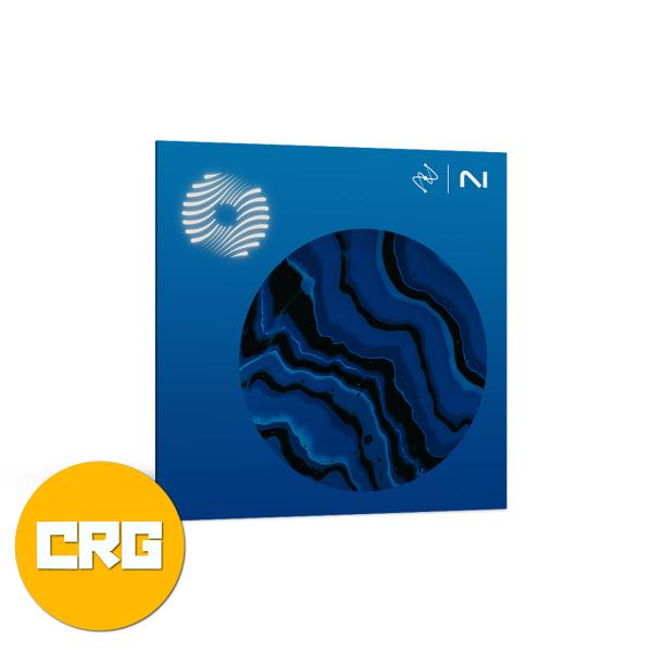 iZotope Ozone 12 Standard: Crossgrade from any pai...