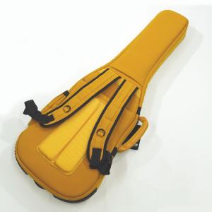 Fender(フェンダー) Troubadou...の詳細画像1