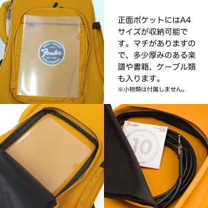 Fender(フェンダー) Troubadou...の詳細画像5