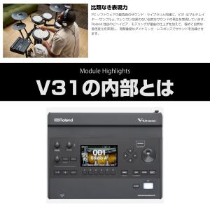 Roland(ローランド) VAD316 Pe...の詳細画像4